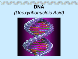 DNA Structure powerpoint