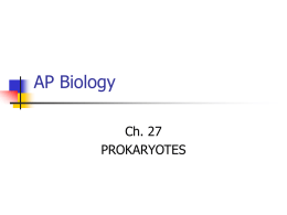 AP Biology - AdamsAPBiostars
