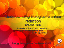 Palm_S_final - Energy Postgraduate Conference 2013