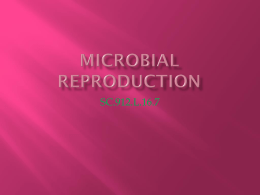 L16.7_Microbial Reproduction