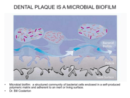 DENTAL PLAQUE IS A MICROBIAL BIOFILM