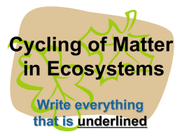 Cycling of Matter In Ecosystems PowerPoint