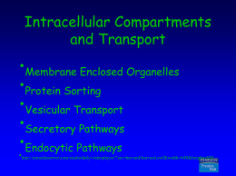 cell compartments #2 S07