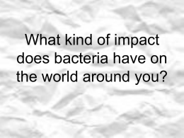 What kind of impact do bacteria have on the world around you?