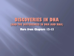 DNA and RNA