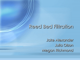 Alexander, Olson, Richmond Reed Bed