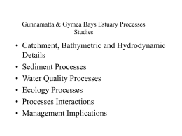 Gunnamatta & Gymea Bays Estuary Processes Studies