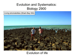 Evolution and Systematics Biology 2900