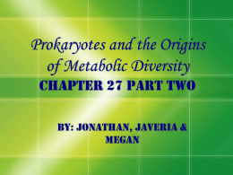 Prokaryotes and the Origins of Metabolic Diversity Chapter 27 Part two