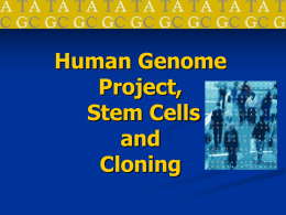 Human Genome Project, Stem Cells and Cloning