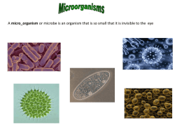 Micro_Organism_Basics_Student