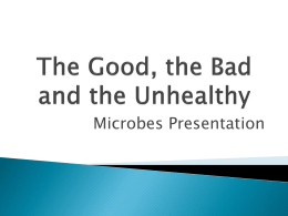 The Good, the Bad and the Unhealthy