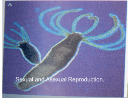 Sexual / Asexual Reproduction