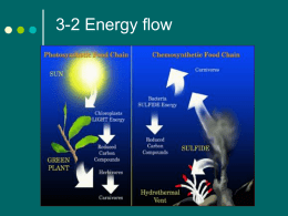Energy flow in a community - Sonoma Valley High School