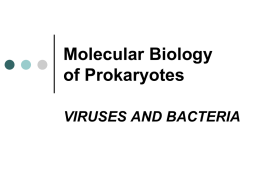 AP Bio Viruses and bacteria