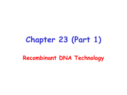 Chapter 23 (Part 1)