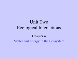 Chapter 4 Matter and Energy