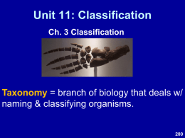 Classification - Mrs. GM Biology 200