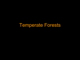 Temperate Forests - Blue Valley Schools