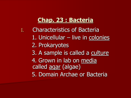 Chap. 19/24 : Bacteria - Fort Thomas Independent Schools