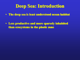 2008, final Lecture 12 deep sea and hydro vents