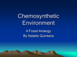 Chemosynthetic Environment
