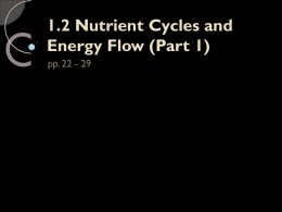 1.2 Nutrient Cycles and Energy Flow