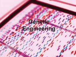 Ch 8 Genetic Technology and Diagnostics