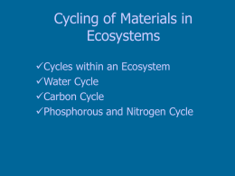 09.02.11 Cycling of Materials in Ecosystems