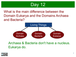 Day 12 PowerPoint