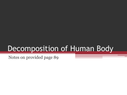 Decomposition of Human Body