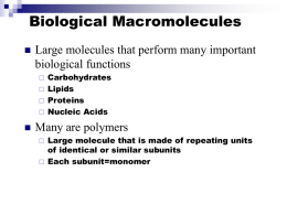 Macromolecules pt 1