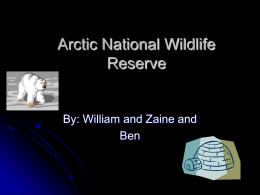 Arctic National Wildlife Reserve