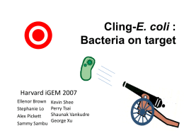 Bacteria on target