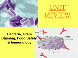 UNIT REVIEW Bacteria, Gram Staining, Food Safety,