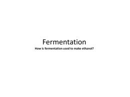 Fermentation How is fermentation used to make ethanol?