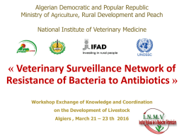 A- Alger National Institute of Veterinary Medicine