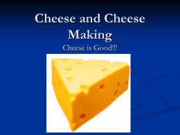 Cheese and Cheese Making File