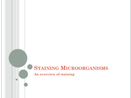 Staining Microorganisms