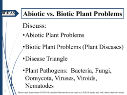 Plant Pathogen Groups