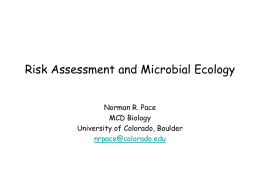 Risk Assessment and Microbial Ecology