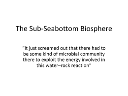 SubSeabottom Biosphere Lecture Powerpoint Presentation