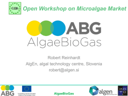 Presentation at EUBIA Open Workshop on