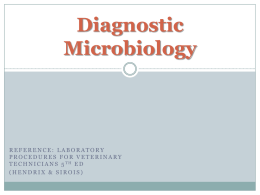 Diagnostic Microbiology plus imagesx