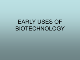 early biotech E
