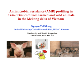 Animal production in Mekong Delta of Vietnam