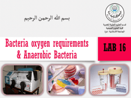 Lab-13-Bacterial-oxygen-requirement-anearobic