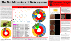 The Gut Microbiota of Helix aspersa