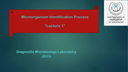 Lab 1 -Introduction- diagnositic microbiology