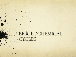 BIOGEOCHEMICAL CYCLES